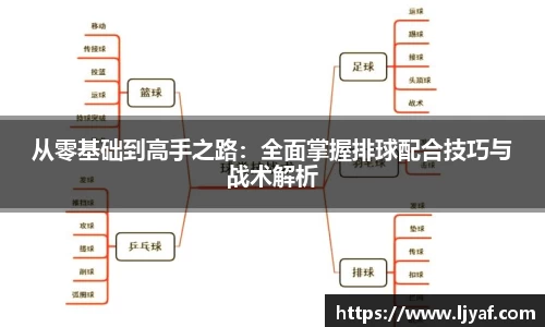 从零基础到高手之路：全面掌握排球配合技巧与战术解析