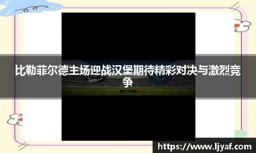 星空综合官网首页
