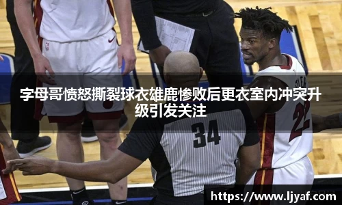 星空综合官网