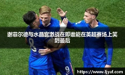 谢菲尔德与水晶宫激战在即谁能在英超赛场上笑到最后